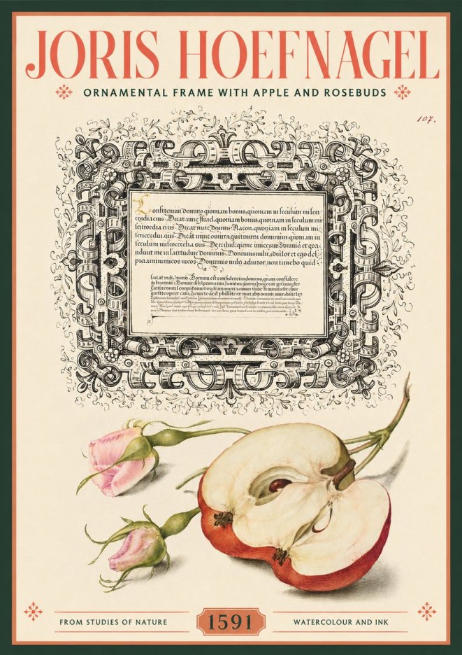 Joris Hoefnagel Illuminated Calligraphy and Botanical Study No3 - Poszter