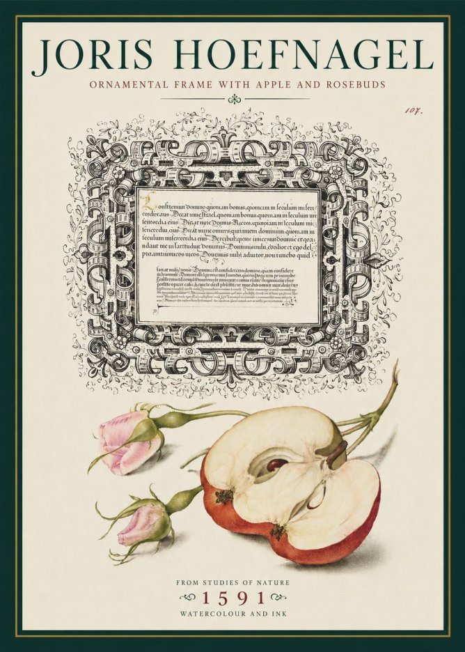 Joris Hoefnagel Illuminated Calligraphy and Botanical Study No5 - Poszter