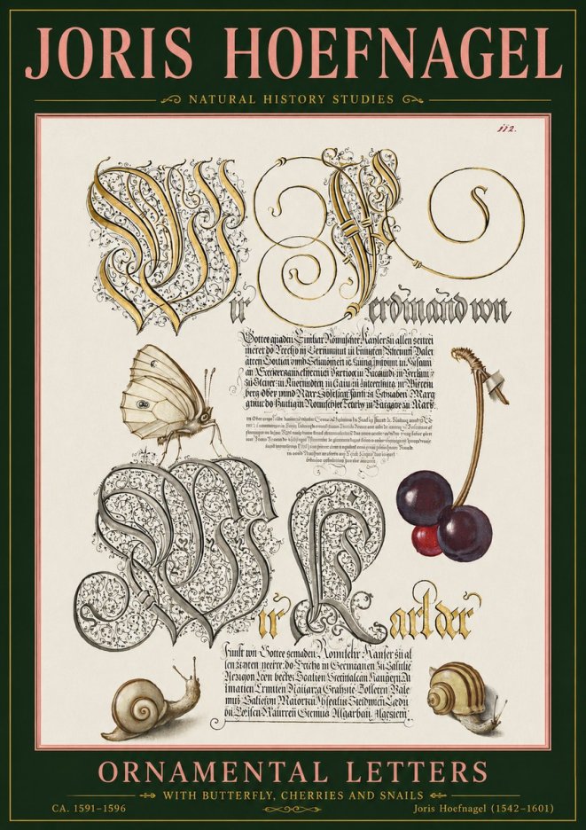 Joris Hoefnagel Ornamental Letters with Butterfly, Cherries and Snails No5 - Poszter