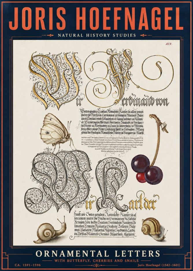 Joris Hoefnagel Ornamental Letters with Butterfly, Cherries and Snails No6 - Poszter