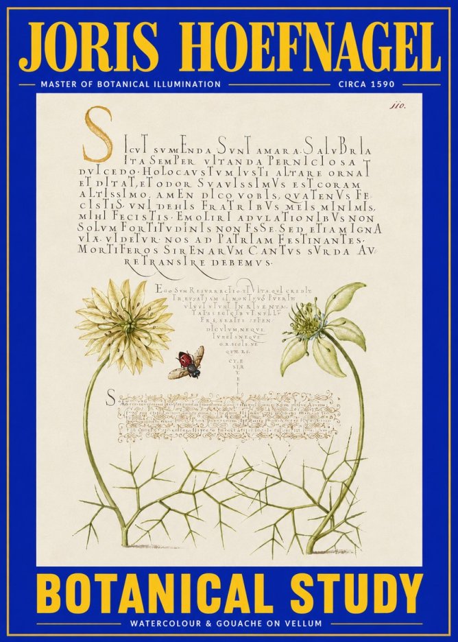 Joris Hoefnagel Botanical Study with Insect No4 - Poszter