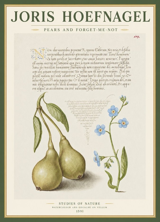 Joris Hoefnagel Pears and Forget-me-not No1 - Poszter