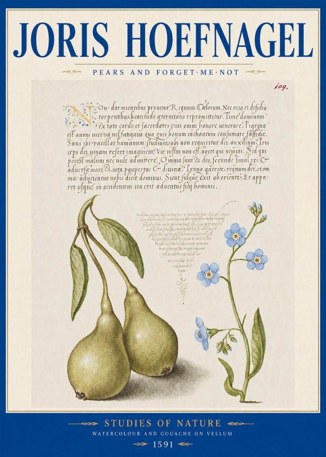 Joris Hoefnagel Pears and Forget-me-not No2 - Poszter