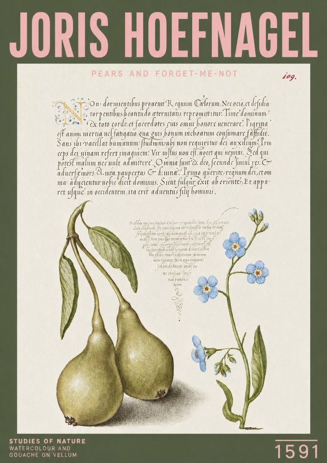 Joris Hoefnagel Pears and Forget-me-not No3 - Poszter