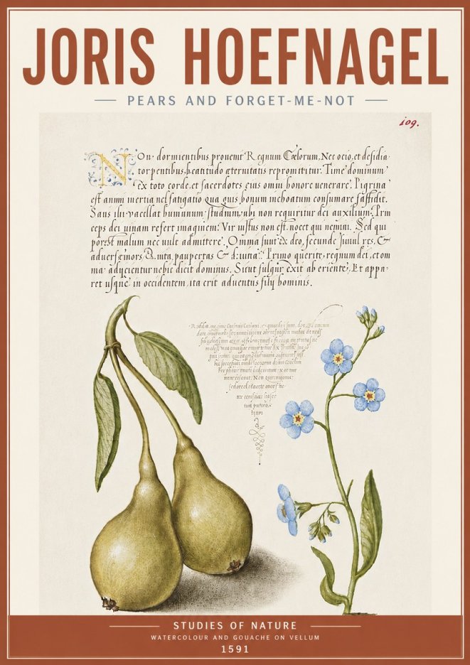 Joris Hoefnagel Pears and Forget-me-not No5 - Poszter