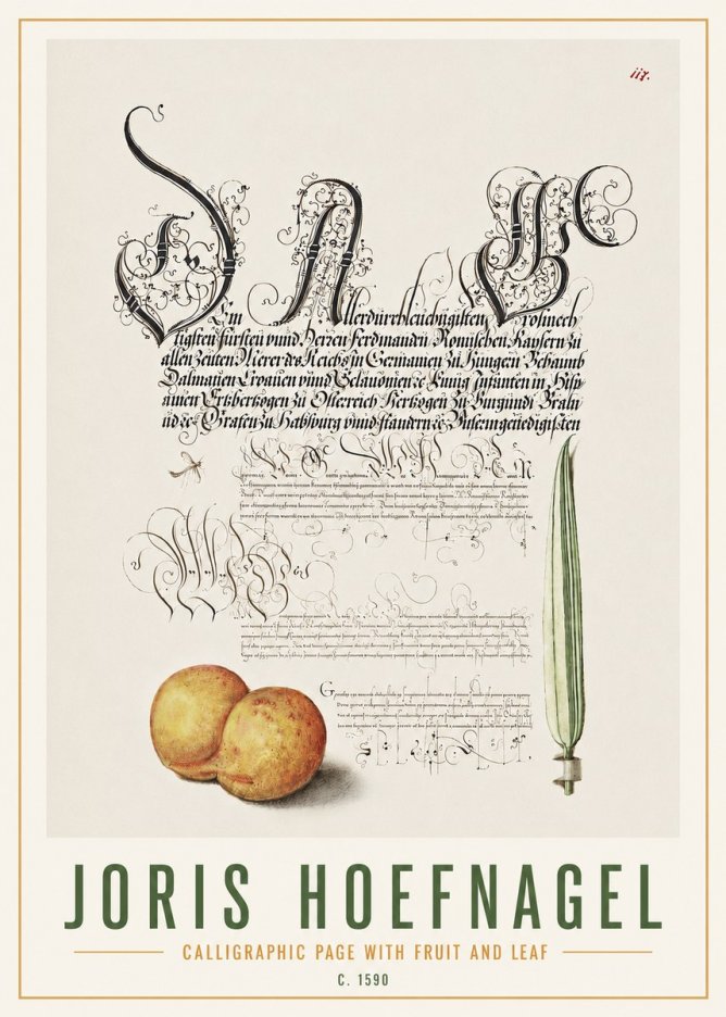 Joris Hoefnagel Calligraphic Page with Fruit and Leaf No4 - Poszter