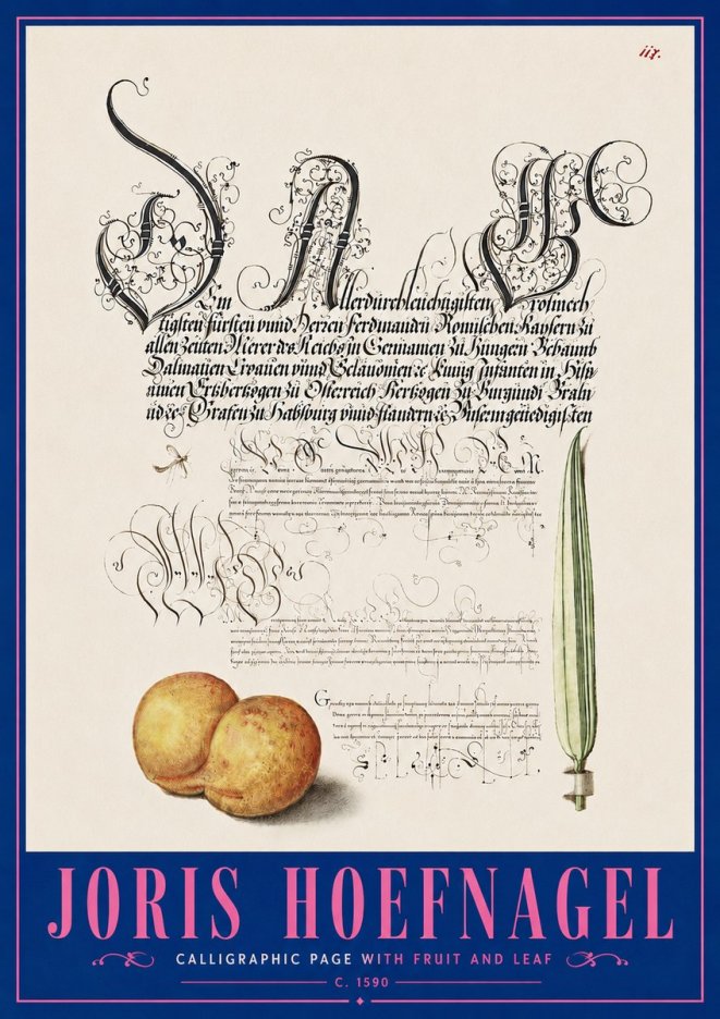 Joris Hoefnagel Calligraphic Page with Fruit and Leaf No5 - Poszter