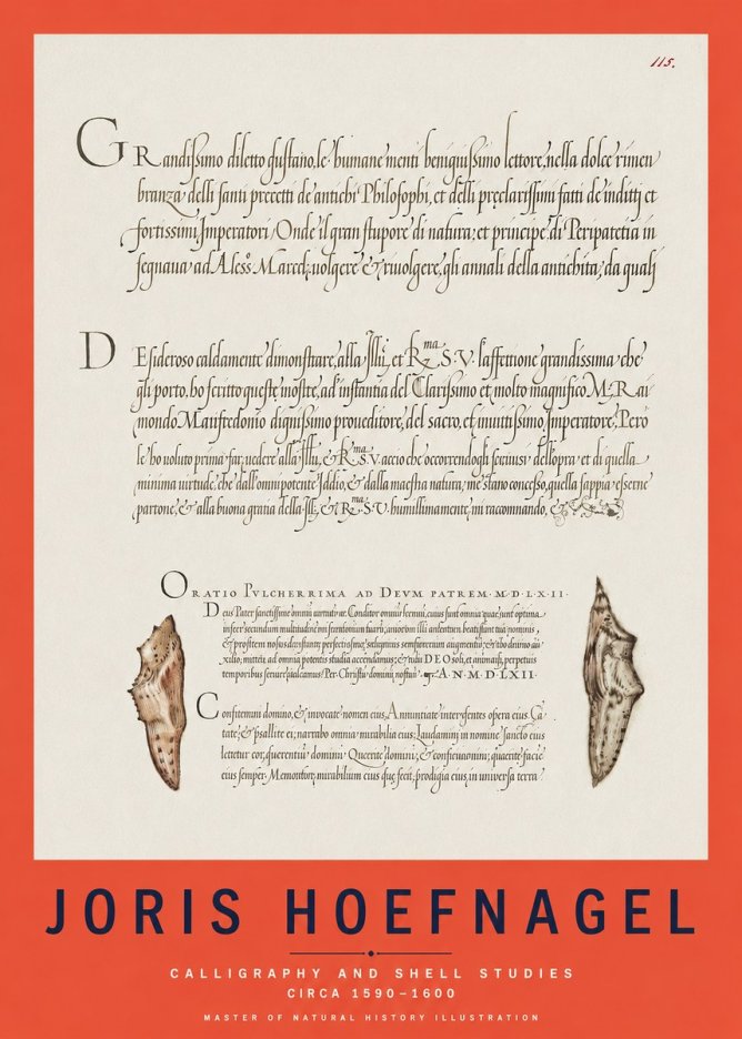 Joris Hoefnagel Study of Shells and Calligraphy No3 - Poszter