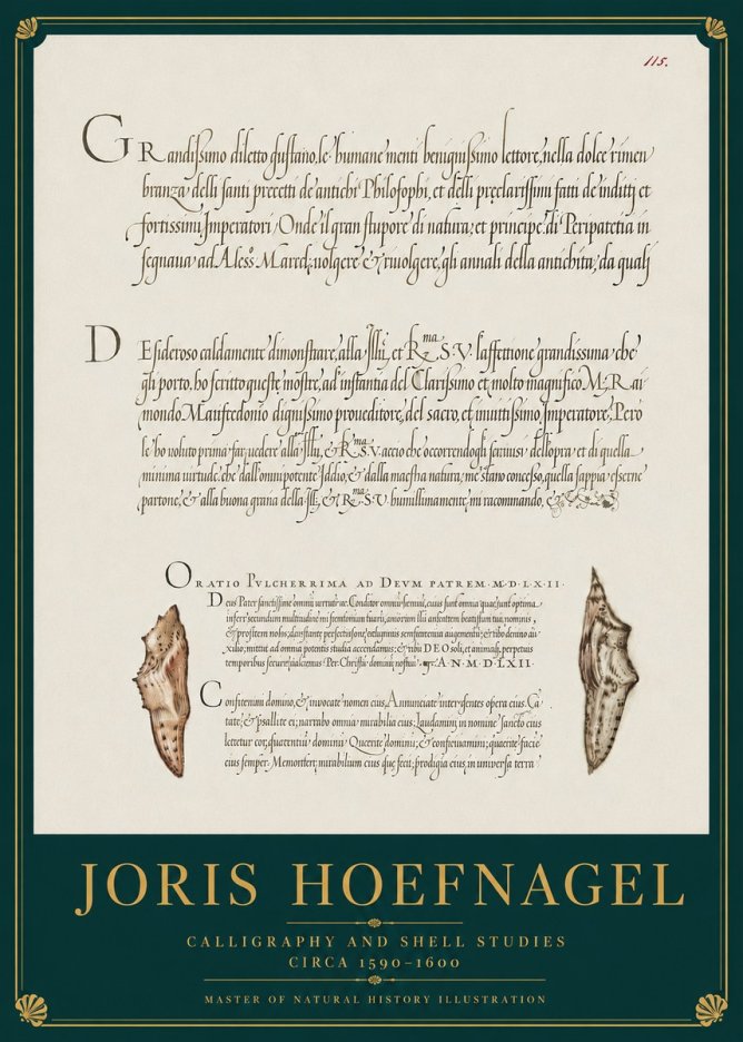 Joris Hoefnagel Study of Shells and Calligraphy No4 - Poszter