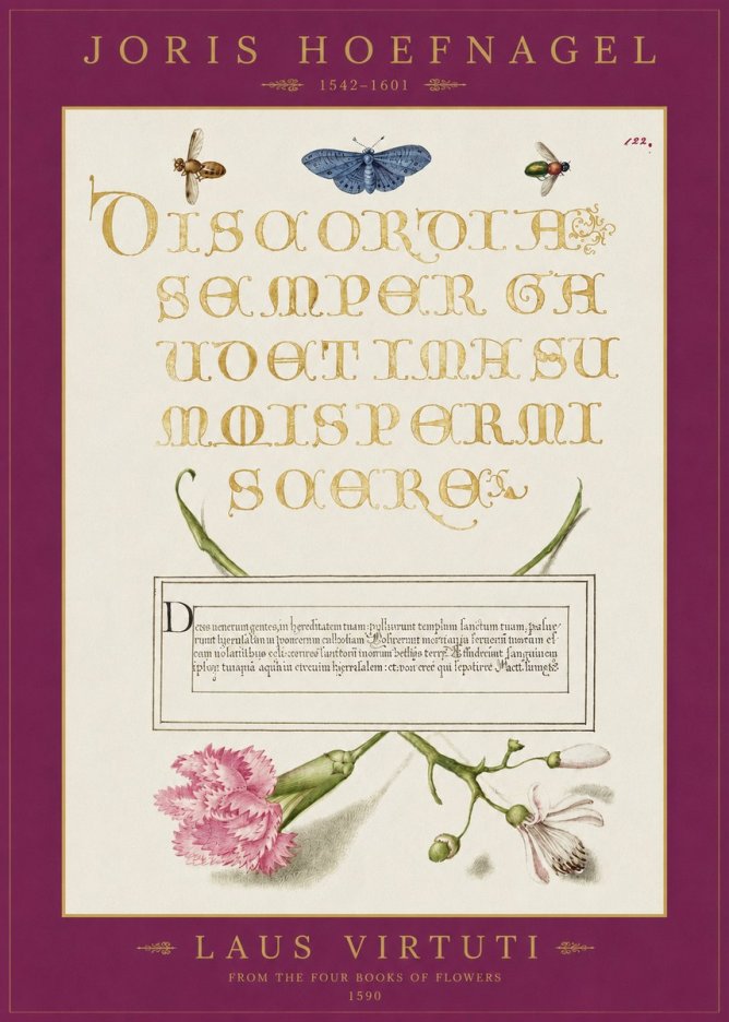 Joris Hoefnagel Laus Virtuti No2 - Poszter