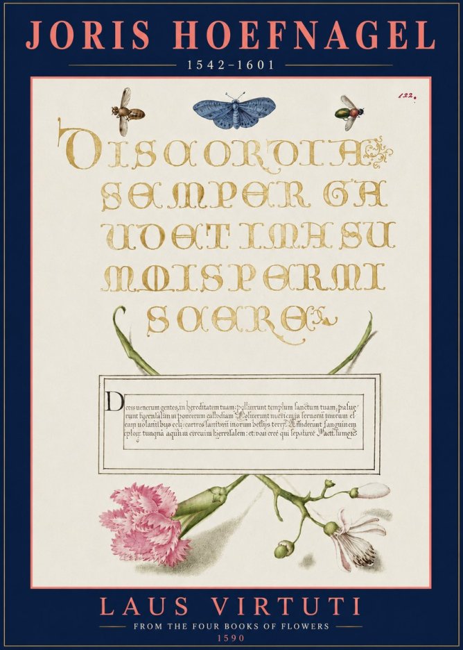 Joris Hoefnagel Laus Virtuti No3 - Poszter