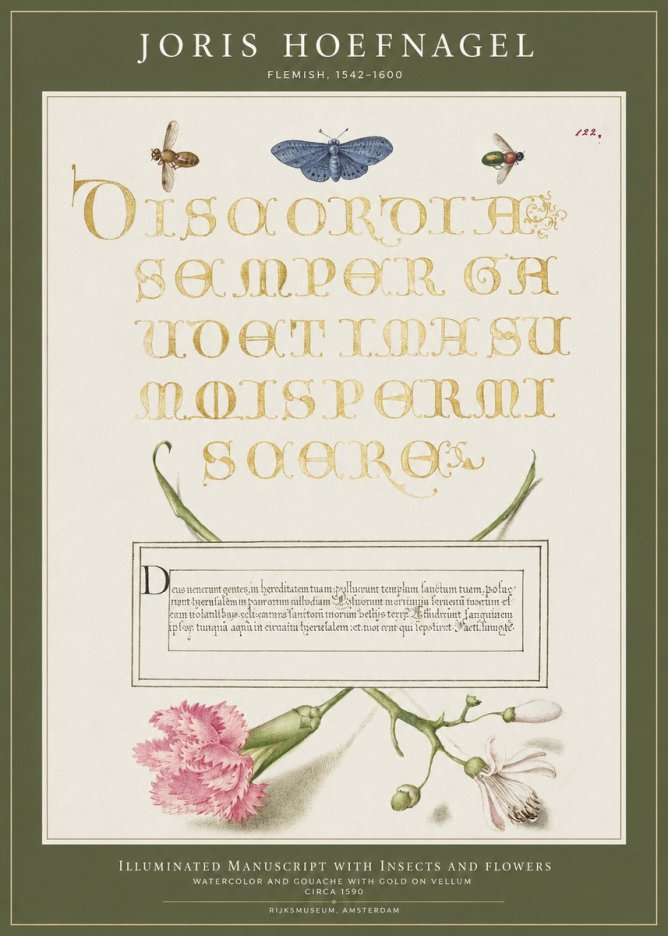 Joris Hoefnagel Laus Virtuti No4 - Poszter