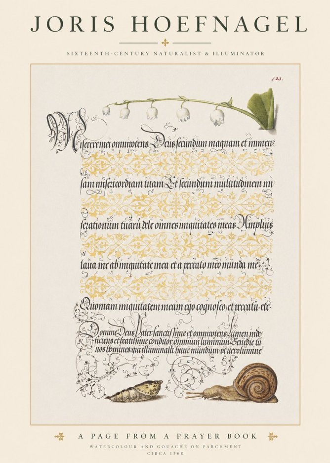 Joris Hoefnagel Lily of the Valley, Snail and Caterpillar No6 - Poszter
