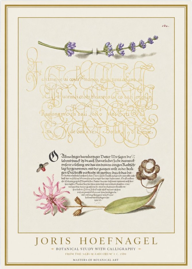Joris Hoefnagel Botanical Study with Calligraphy IV No1 - Poszter