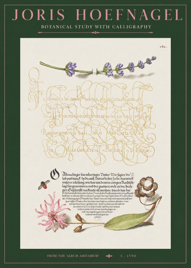 Joris Hoefnagel Botanical Study with Calligraphy IV No2 - Poszter