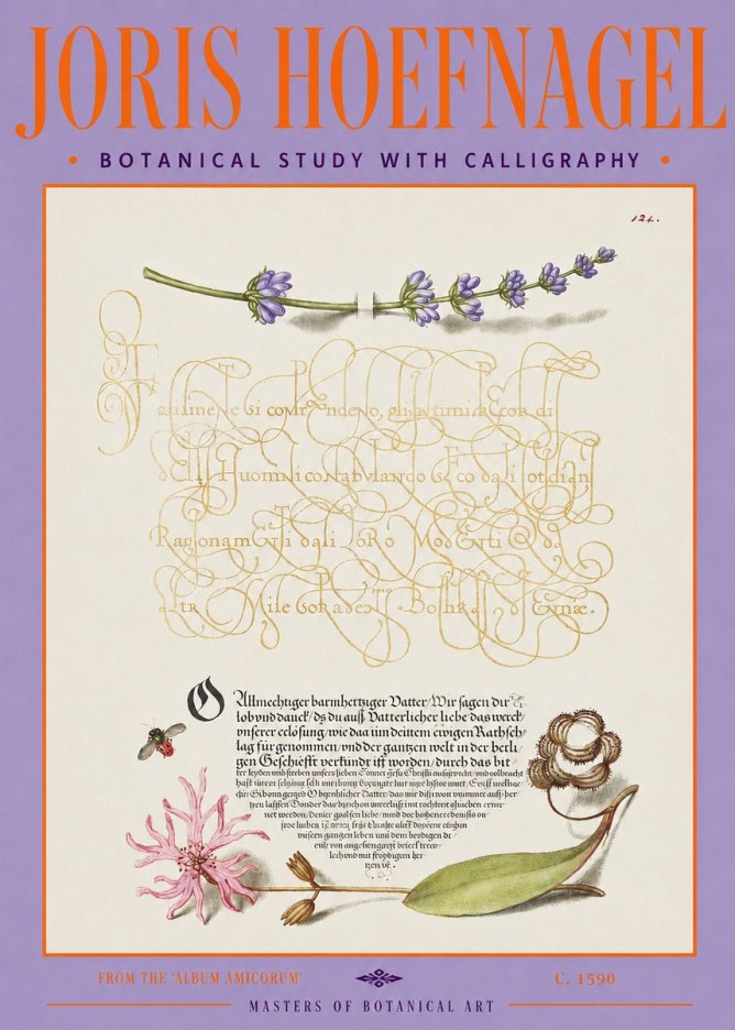 Joris Hoefnagel Botanical Study with Calligraphy IV No3 - Poszter