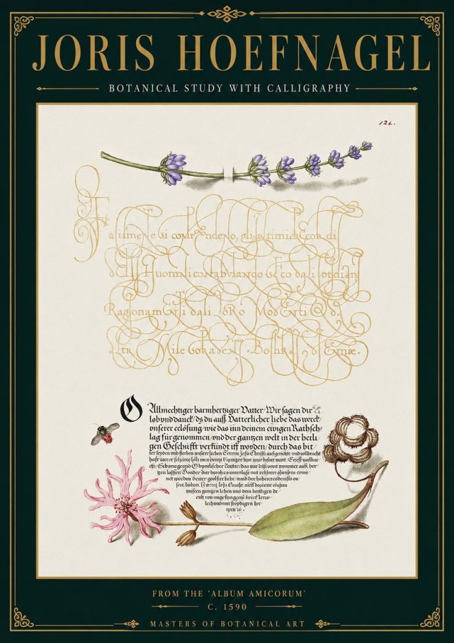 Joris Hoefnagel Botanical Study with Calligraphy IV No4 - Poszter