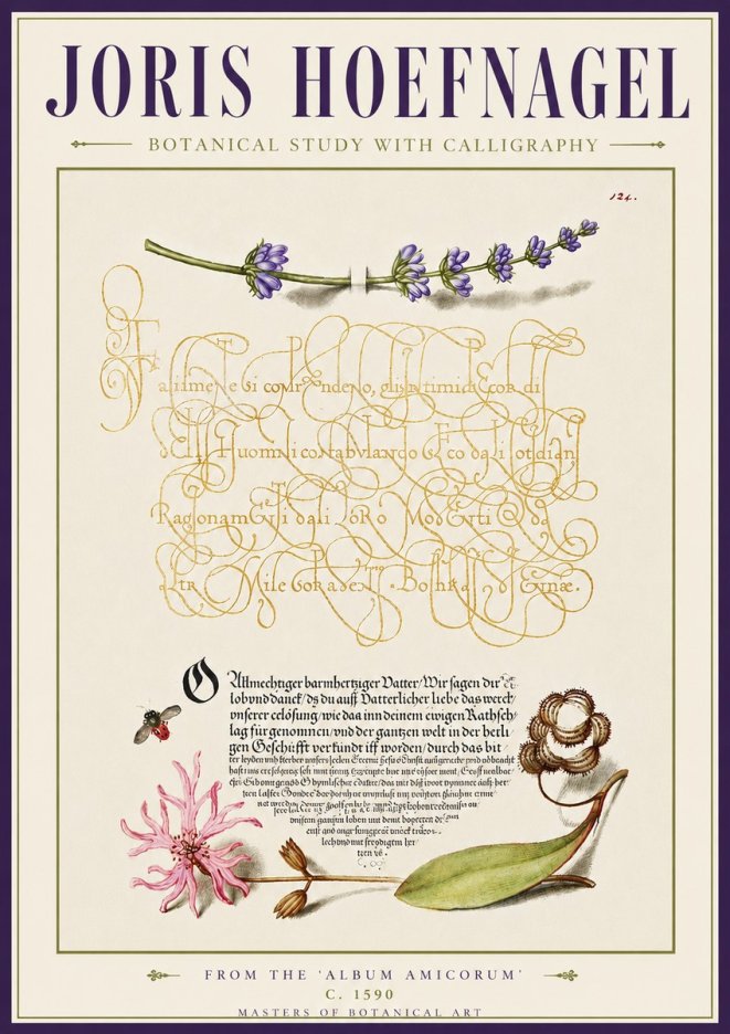 Joris Hoefnagel Botanical Study with Calligraphy IV No5 - Poszter