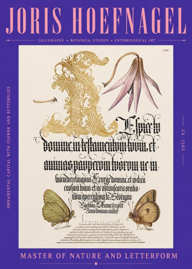 Joris Hoefnagel Ornamental Capital with Flower and Butterflies No2 - Poszter