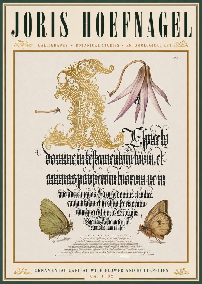 Joris Hoefnagel Ornamental Capital with Flower and Butterflies No3 - Poszter