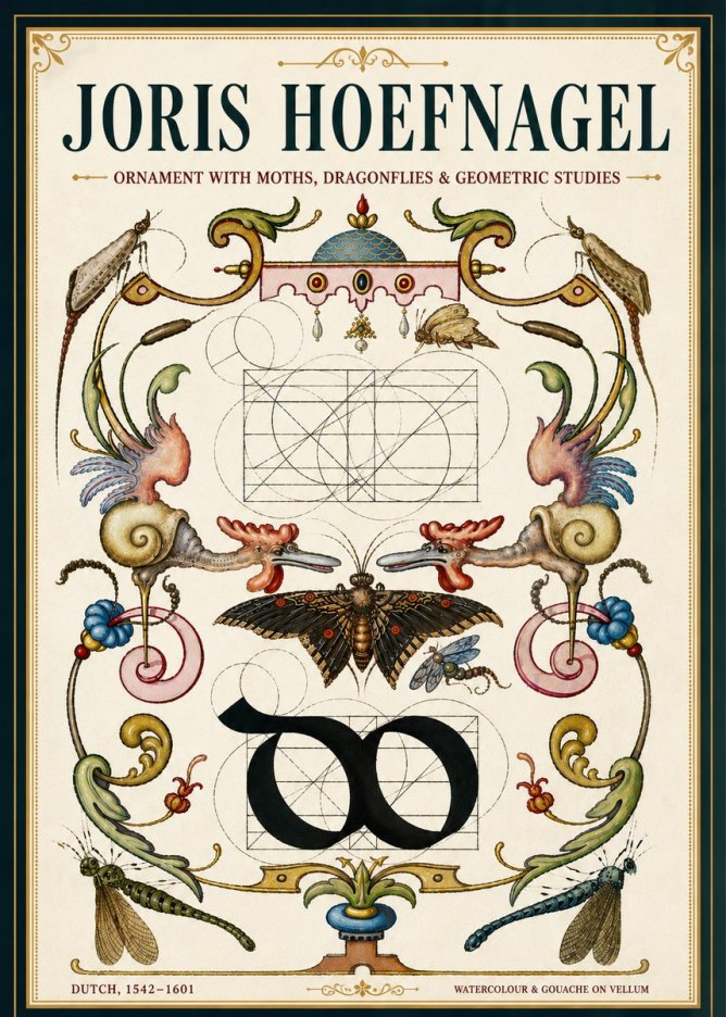 Joris Hoefnagel Ornament with Moths, Dragonflies & Geometric Studies No5 - Poszter