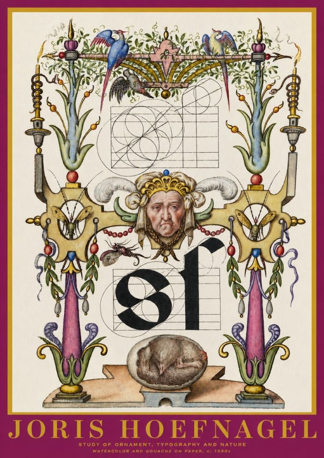Joris Hoefnagel Mastery in Detail - Renaissance Ornament & Nature Studies No6 - Poszter