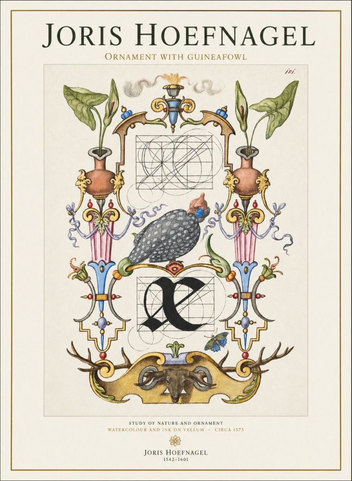 Joris Hoefnagel Ornament with Guineafowl No1 - Poszter
