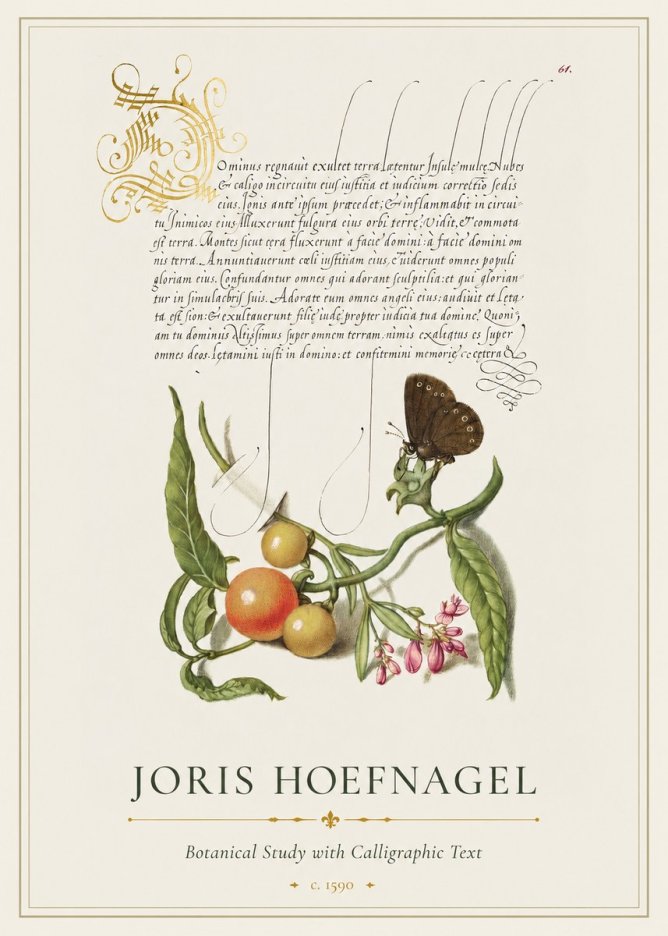 Joris Hoefnagel Botanical Study with Calligraphic Text No1 - Poszter