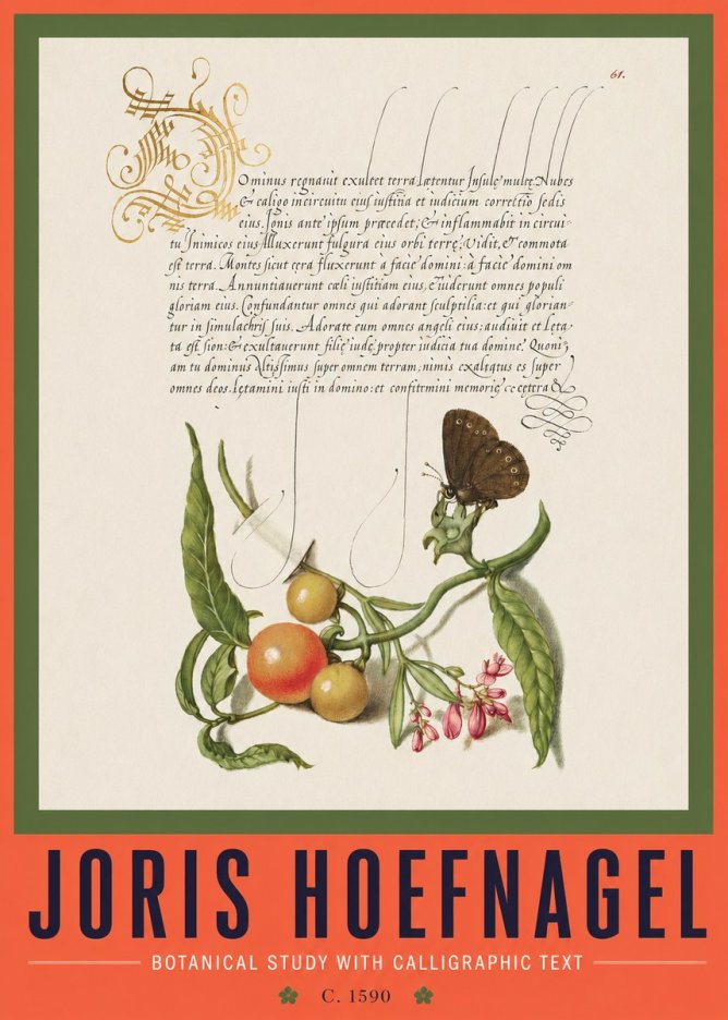Joris Hoefnagel Botanical Study with Calligraphic Text No2 - Poszter