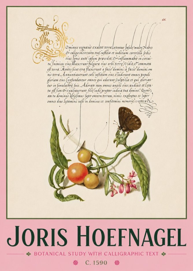 Joris Hoefnagel Botanical Study with Calligraphic Text No4 - Poszter