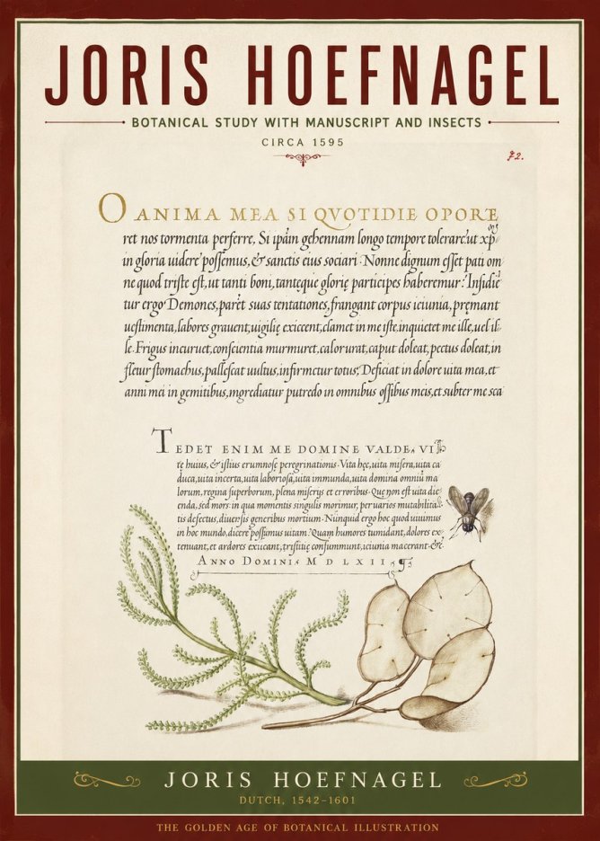 Joris Hoefnagel Botanical Study with Manuscript and Insects No2 - Poszter