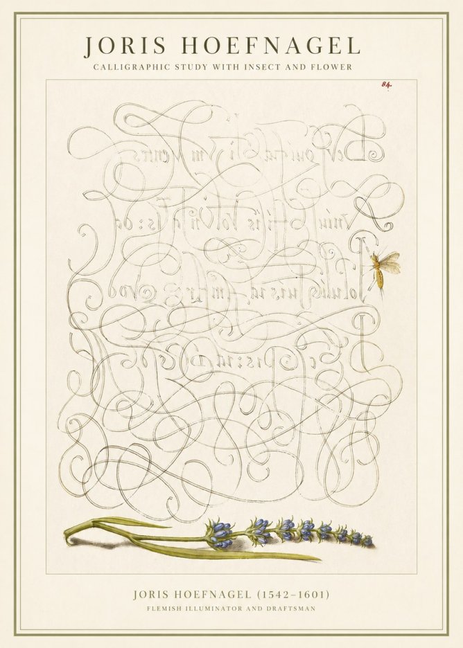 Joris Hoefnagel Calligraphic Study with Insect and Flower No1 - Poszter