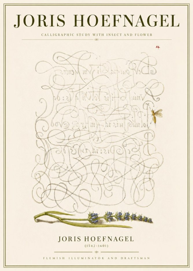 Joris Hoefnagel Calligraphic Study with Insect and Flower No3 - Poszter