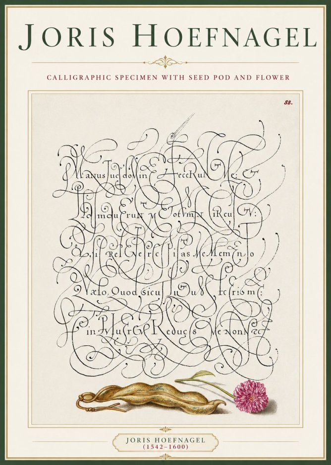 Joris Hoefnagel Calligraphic Specimen with Seed Pod and Flower No3 - Poszter