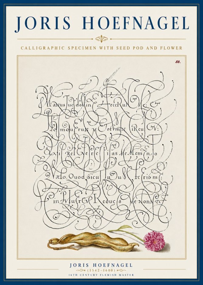 Joris Hoefnagel Calligraphic Specimen with Seed Pod and Flower No5 - Poszter