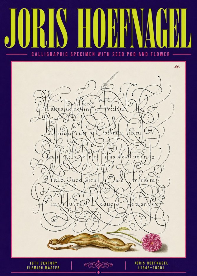 Joris Hoefnagel Calligraphic Specimen with Seed Pod and Flower No6 - Poszter