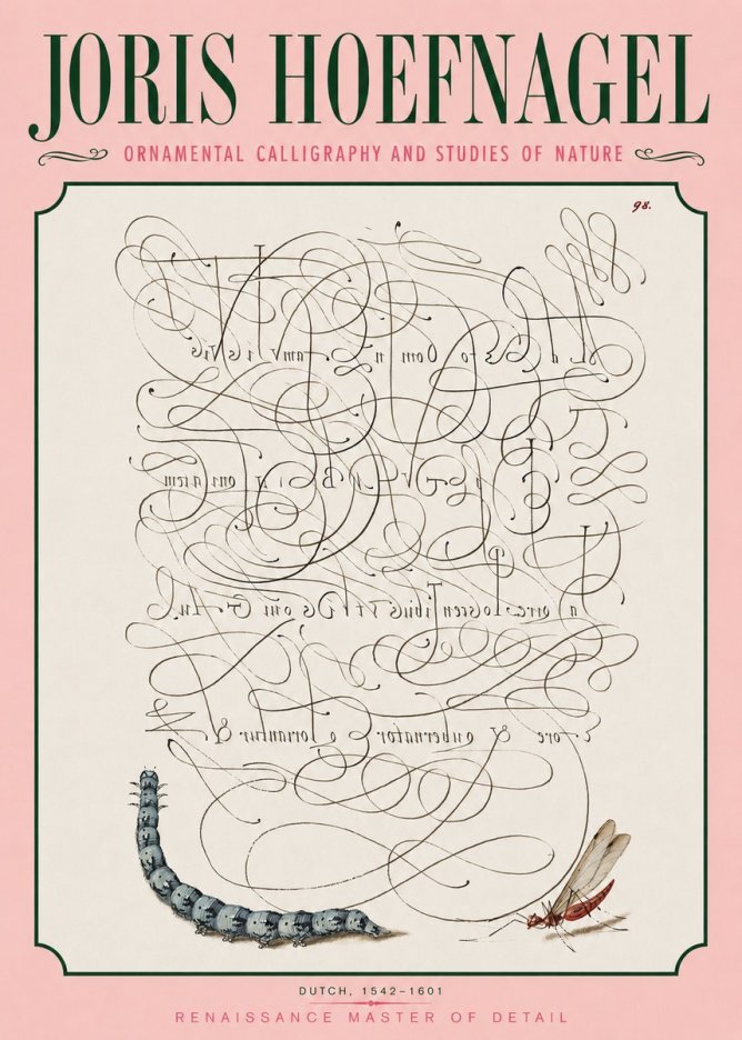 Joris Hoefnagel Ornamental Calligraphy and Studies of Nature No3 - Poszter