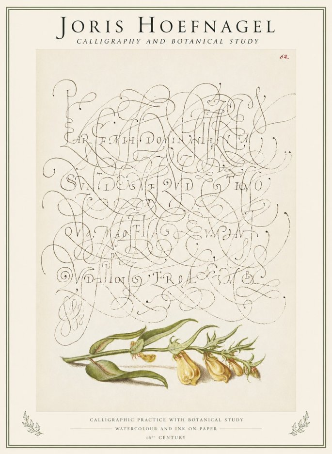 Joris Hoefnagel Calligraphic Practice with Botanical Study No1 - Poszter