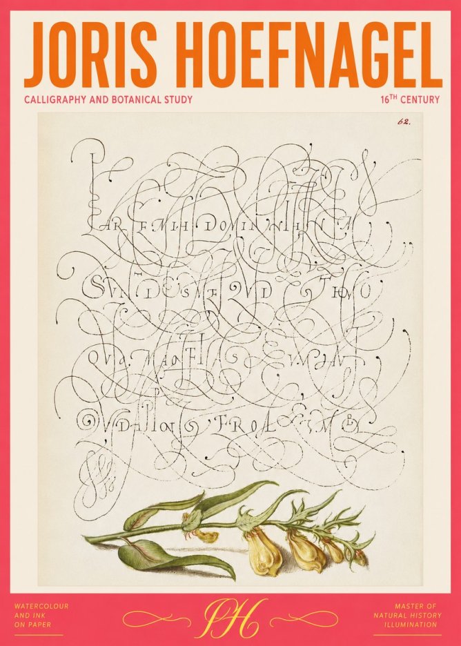Joris Hoefnagel Calligraphic Practice with Botanical Study No2 - Poszter