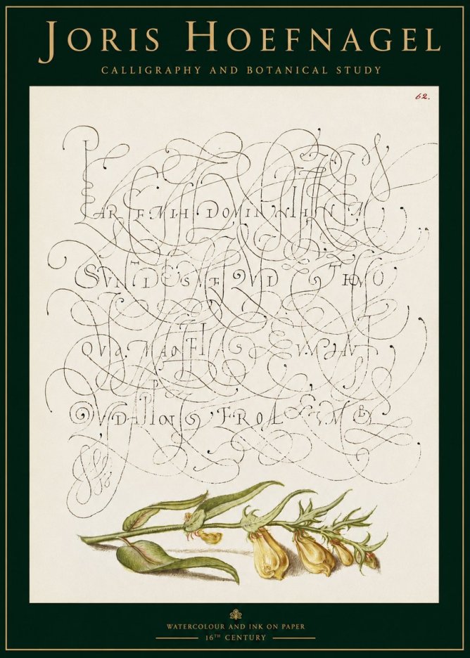 Joris Hoefnagel Calligraphic Practice with Botanical Study No3 - Poszter