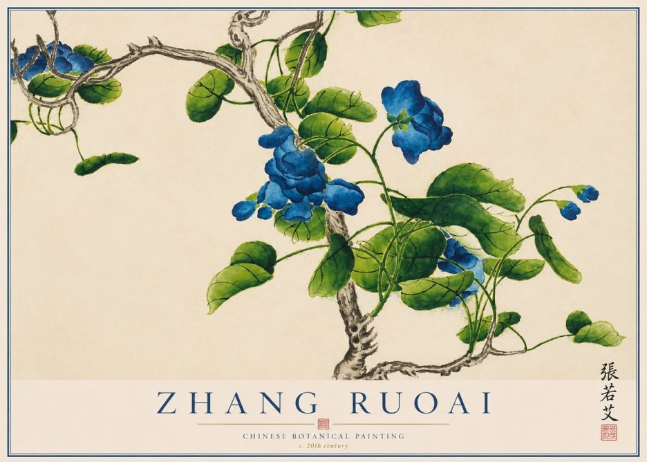 Zhang Ruoai Blue Morning Glories No1 - Poszter