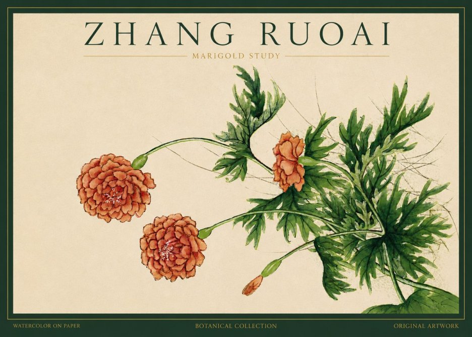 Zhang Ruoai Marigold Study No3 - Poszter