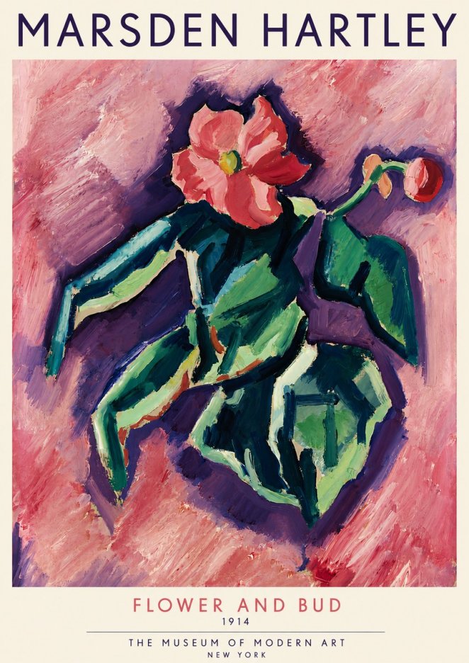 Marsden Hartley Flower and Bud No4 - Poszter