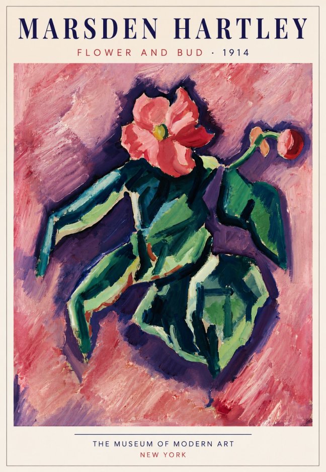 Marsden Hartley Flower and Bud No5 - Poszter