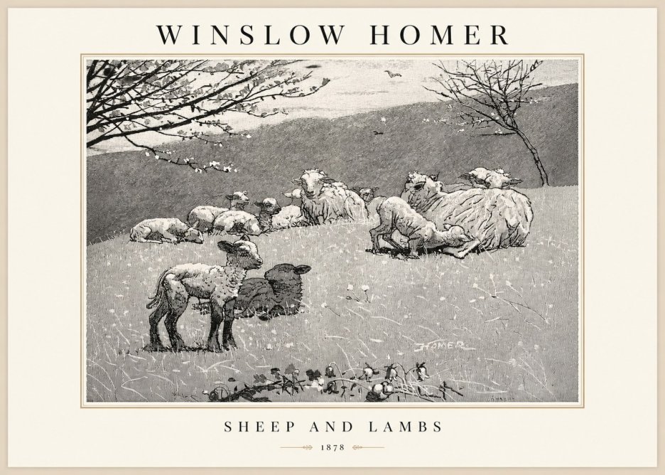 Winslow Homer Sheep and Lambs No1 - Poszter
