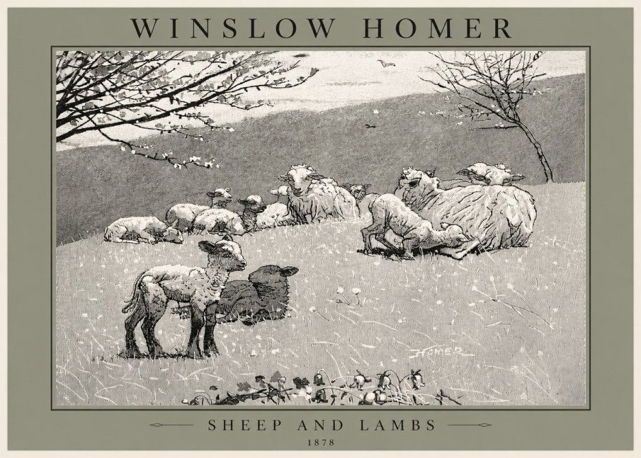 Winslow Homer Sheep and Lambs No2 - Poszter