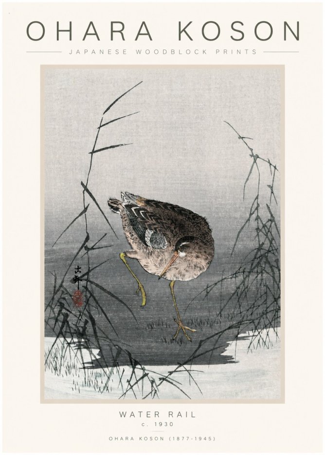 Ohara Koson Water Rail No1 - Poszter