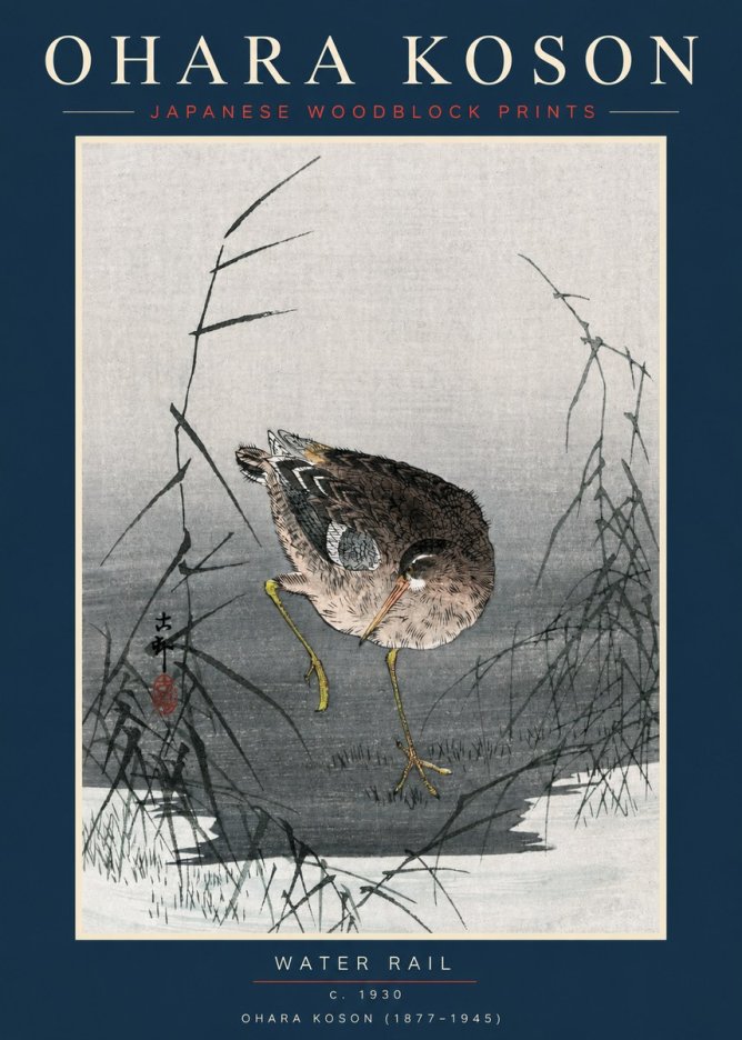 Ohara Koson Water Rail No2 - Poszter