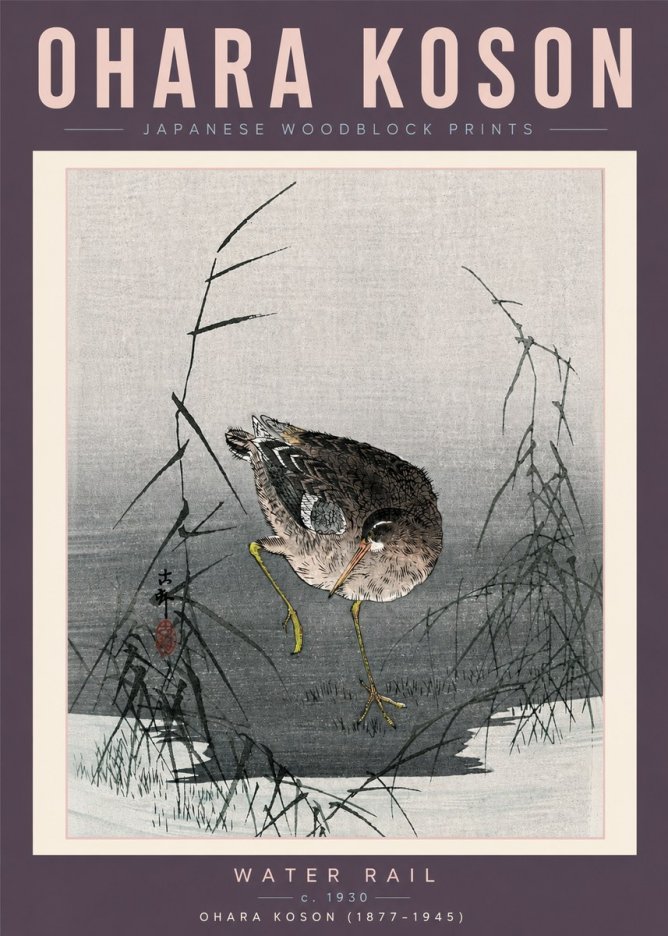 Ohara Koson Water Rail No6 - Poszter