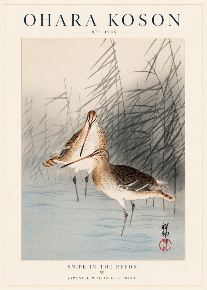 Ohara Koson Snipe in the Reeds No1 - Poszter